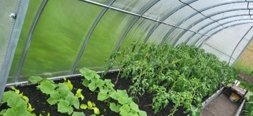 Теплица из поликарбоната тоннель 3х6 м 40*20 6мм