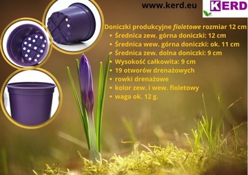 10шт ПРОИЗВОДСТВЕННЫЕ цветочные горшки 10 см ЖЕЛТЫЙ кресс-салат нарцисс нарцисс крокус весна