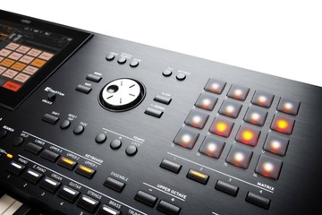 KORG Pa5X 88 Профессиональный аранжировщик, клавишные | 24 часа