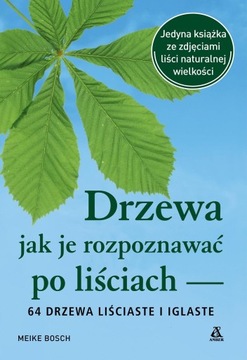DRZEWA - JAK JE ROZPOZNAWAĆ PO LIŚCIACH