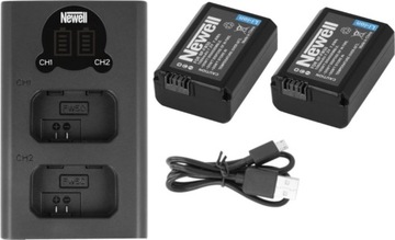 Двухканальное зарядное устройство для аккумулятора NEWELL DL-USB-C+2