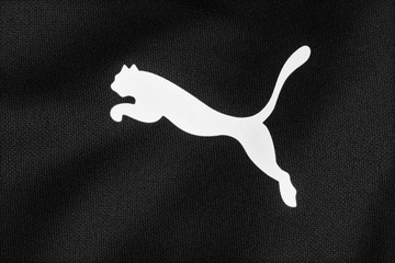 Puma dres męski komplet sportowy dresowy bluza spodnie teamRISE Track r. M