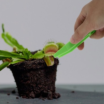 Инструмент для исследования заднего двора Сенсорные игрушки для детей