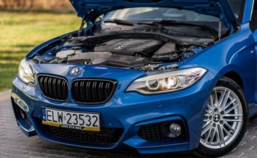 BMW Seria 2 F22-F23-F45-F46 Coupe 220d 184KM 2013 BMW Seria 2 BMW Seria 2 2.0 Diesel 184KM, zdjęcie 17