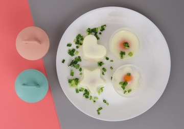 ПЛАСТИКОВЫЕ ФОРМЫ С КРЫШКОЙ ДЛЯ ЯЙЦОВАРКИ 4