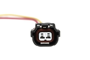 NTY BWP-AU-000