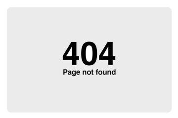 Magnes 404 informatyk