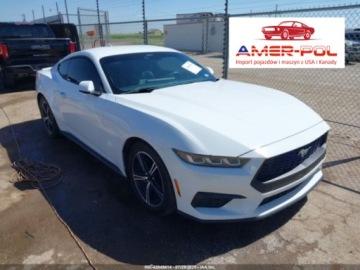 Ford Mustang VI 2024 Ford Mustang Ecoboost Premium Fastback, 2024r., 2.3L 2.3 Benzyna 319KM