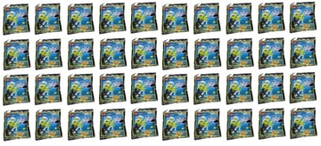 LEGO City Minifigure Polybag - Zestaw #C10_1