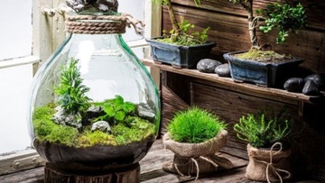 LAS W SŁOIKU : Żwirek Bursztynowy Rzeczny 1KG