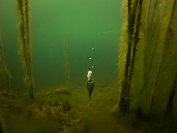 Комплект поплавка Fox для зигзага Riga Zig Float