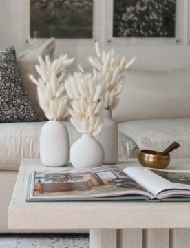 Хвост кролика, Яйцеклетка сушеный лагурус, БЕЛЫЙ, ПУШИСТЫЙ ХВОСТ ЗАЙКИ