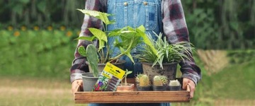 Специальные палочки для удобрений 