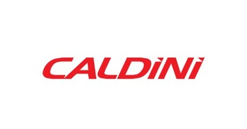 Очиститель тормозов Caldini 500мл 03552