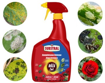 Substral Kompleksowa Ochrona 2w1 Róże KWIATY 800ml NA OWADY I CHOROBY