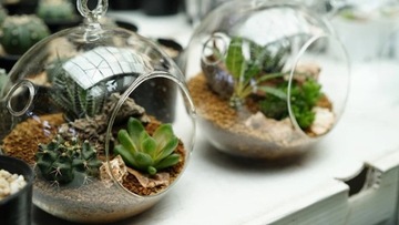 Лесная подстилка в стакане Rossa Corallo 2-4 камешка 1кг