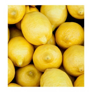 YODEYMA Blue Sand мужские духи 1,2 мл ОБРАЗЕЦ