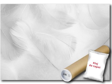 FOTOTAPETA FLIZELINA PIÓRA PIÓRKA 416x254