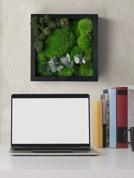 Древовидный папоротник для картины мхом мхом