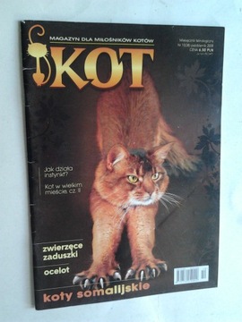 KOT nr 10(38)2008 Magazyn dla milosnikow kotow