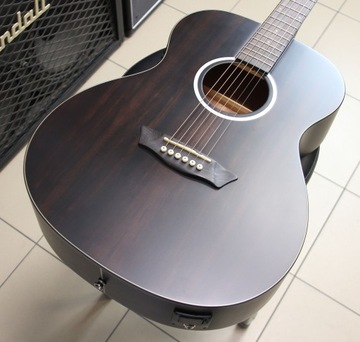 Washburn Deep Forest Ebony FE (фолк) - новинка!