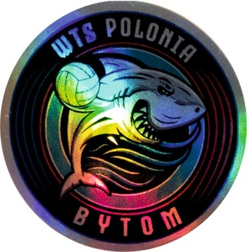 WODOODPORNE naklejki hologramy Z TWOIM WZOREM LOGO