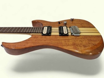 Электрогитара Raven ISM2000 NA + футляр