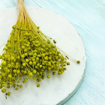 Сушеный лен - Селадон