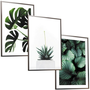 ZESTAW A3x3 RAMKA NOWOCZESNY OBRAZ PLAKAT MONSTERA