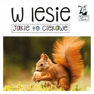 W lesie Jakie to ciekawe