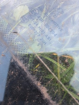 PEUGEOT 1007 SKLO (OKNO) PŘEDNÍ ČELNÍ EVROPA 05R + SENSOR