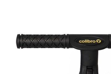 Три -шаловый детский велосипед 4in1 Colibro tremix