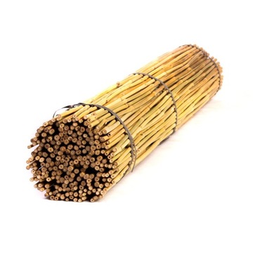 Tyczki bambusowe - 150cm - 12/14mm - 50 sztuk
