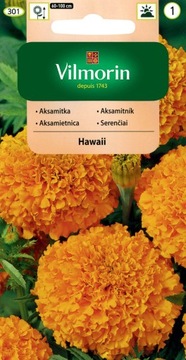 Aksamitka wzniesiona Hawaii