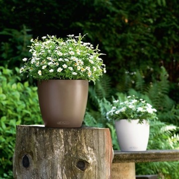 Donica Classico Color 14 biały Lechuza