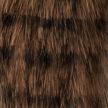 ZONKERY FD1203T LEMON YELLOW TIGER