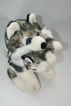 PIESEK PIES HUSKY MASKOTKA OK. 29 CM