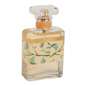 50мл Женские духи Легкий аромат Стойкий