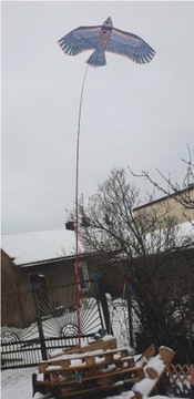 Отпугиватель птиц сокол ястреб + ШЕСТ 7 м + ЗМЕЙ