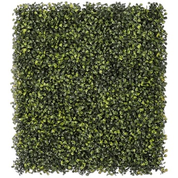 SZTUCZNA ZIELONA ŚCIANA SZTUCZNY BLUSZCZ BUKSZPAN PANEL MATA BALKON 60x40cm