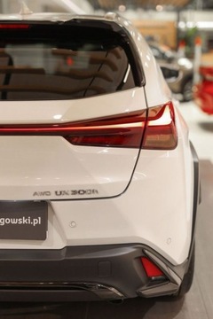 Lexus UX 2024 Lexus UX 300h F Sport Design AWD 2.0 Hybryda 152KM, zdjęcie 25