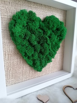 Картина с мхом, большое СЕРДЦЕ, на подарок