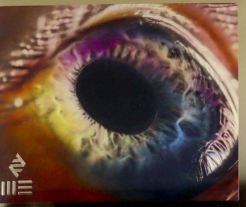 ARCADE FIRE: WE (CD)