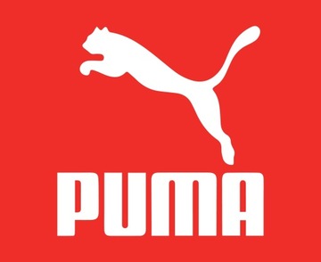 Puma krótkie spodenki męskie sportowe treningowe oddychające L