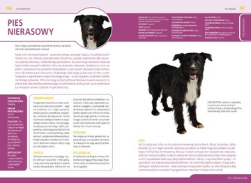 СОБАКИ ПЕРЕГРИ Анна Игликовская 80 ПОРОД