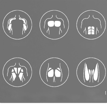 РОЛИК-КОЛЕСО ДЛЯ ТРЕНИРОВКИ МЫШЦ АБС