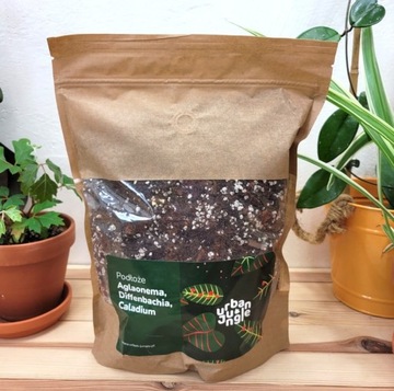 AGLAONEMA DIFFENBACHIA грунт BIGOS 3L субстрат