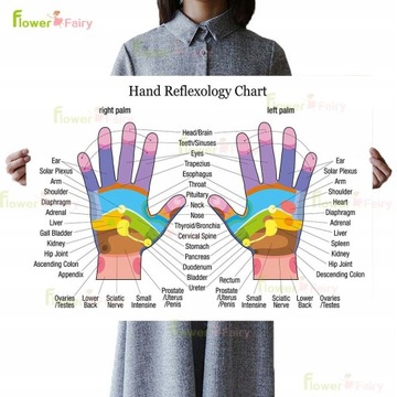 Foot Reflexology Chart Ear Hand Face Posters