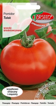 POMIDOR wysoki Tolek nasiona TORSEED