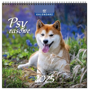 Kalendarz 2025 ścienny DUŻY 30 x 60 cm 13 planszowy PSY RASOWE